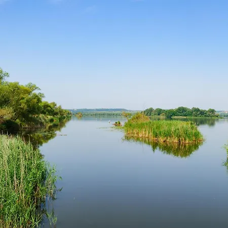 Apartman With Bbq In Keszthely-balaton 54366 Keszthely