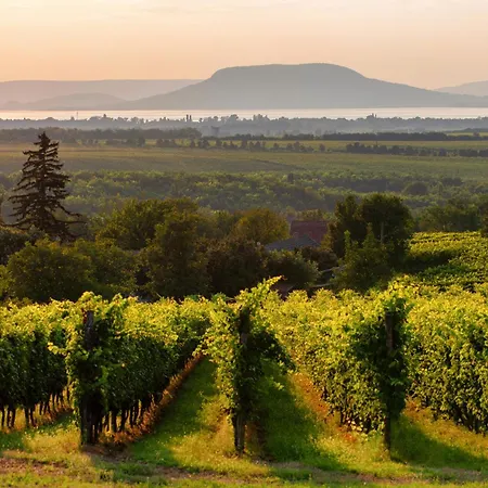 With Bbq In Keszthely-balaton 54366 * Keszthely