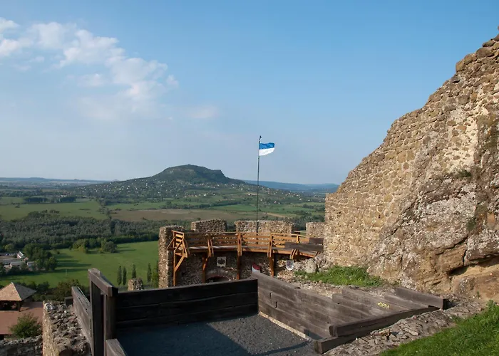 With Bbq In Keszthely-balaton 54366