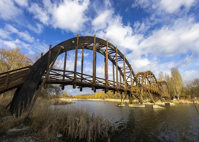 With Bbq In Keszthely-balaton 54366 * ケストヘイ