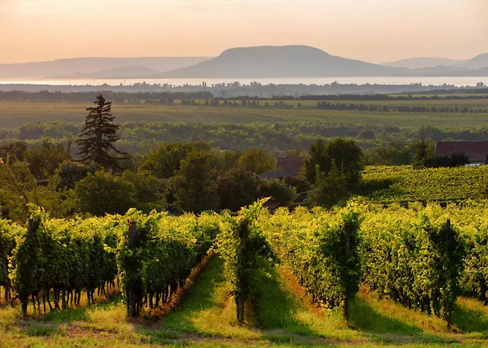 With Bbq In Keszthely-balaton 54366 * ケストヘイ