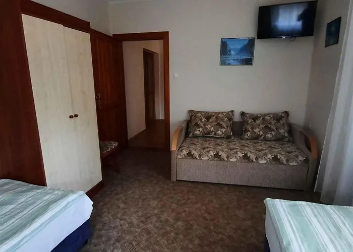 With Bbq In Keszthely-balaton 54366