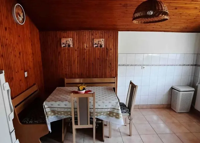 With Bbq In Keszthely-balaton 54366