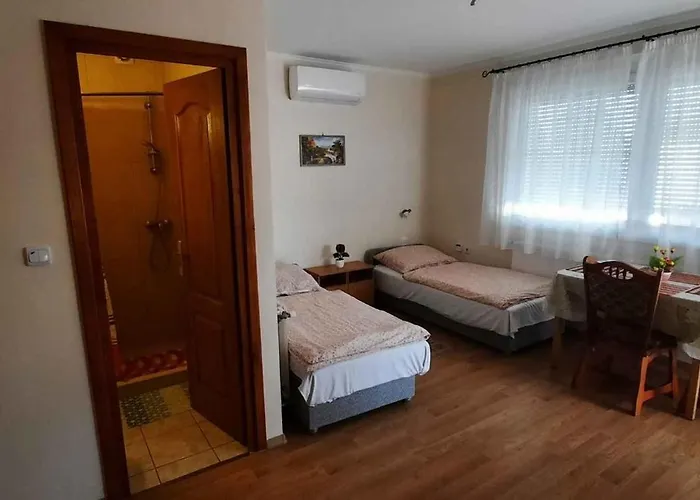 With Bbq In Keszthely-balaton 54366 * Keszthely