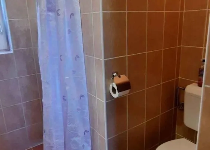 With Bbq In Keszthely-balaton 54366 Appartement *